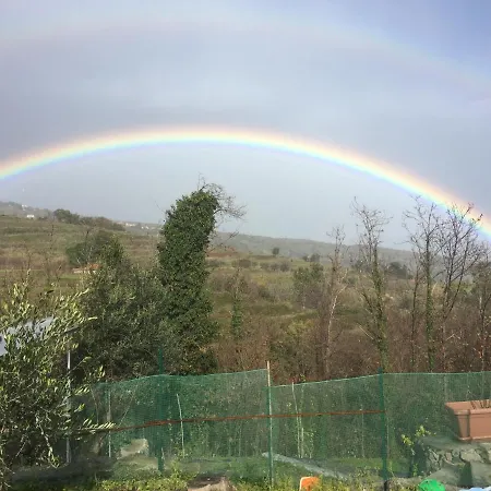 Il Castagneto